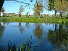 Teich auf Hiddensee